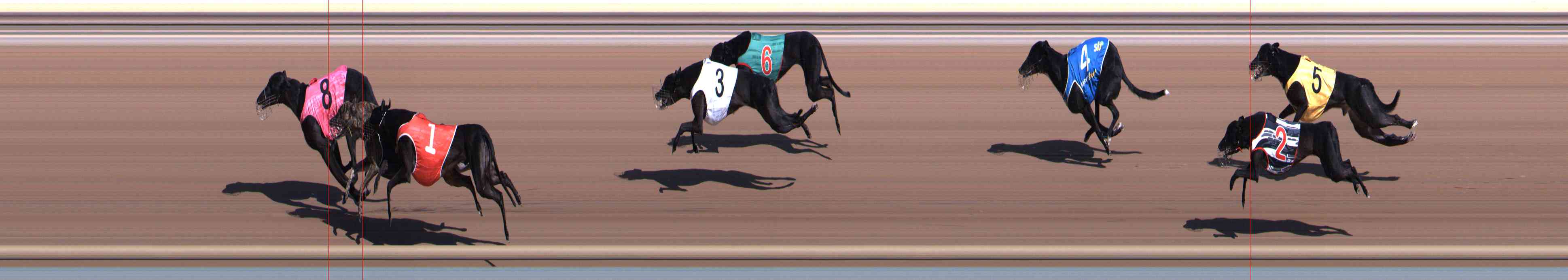 Race result finish photo